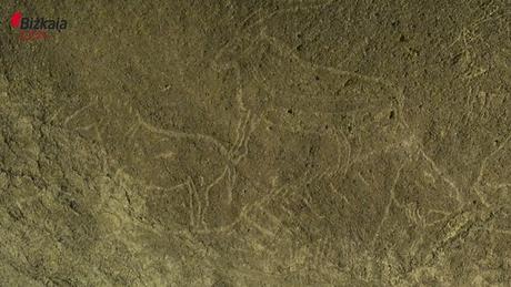 De magnifiques gravures rupestres découvertes sous une ville espagnole
