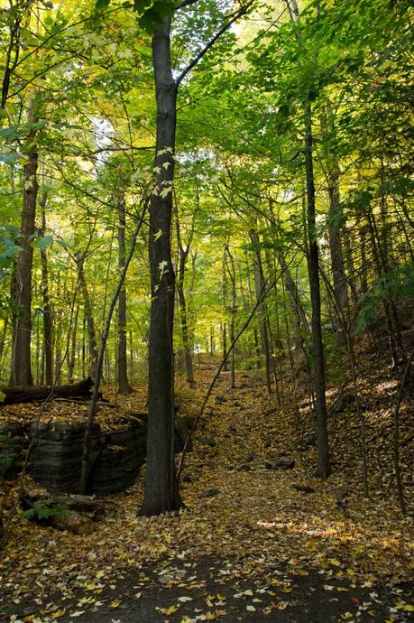 Une Balade au Mont-Royal Une Balade au Mont-Royal