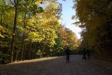 Une Balade au Mont-Royal Une Balade au Mont-Royal
