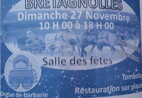 Retrouvez l'association "sos chiens galgos sur ses " Marchés de Noel en Normandie à Bretagnolles 27220 les 26 et 27/11/2016