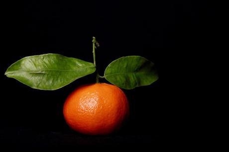 blog-nantes-jus-detox-clementine