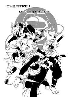 Shinobi Iri - des personnages animaux anthropomorphes Shinobi Iri - des personnages animaux anthropomorphes