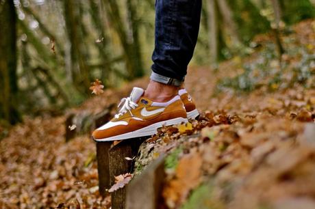 BEST OF #SADP 27/11/2016 guillaume-schmid-air-max-1-curry