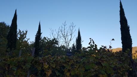 La Bonne Étape, gastronomie et poésie en Haute Provence La Bonne Étape, gastronomie et poésie en Haute Provence