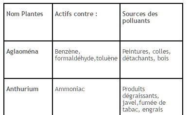 Plantes_polluantes_liste_J-Bruffin Plantes_polluantes_liste_J-Bruffin