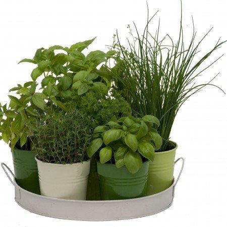 10 idées cadeaux pour maman ! idee-cadeau-maman-plateau-aromate