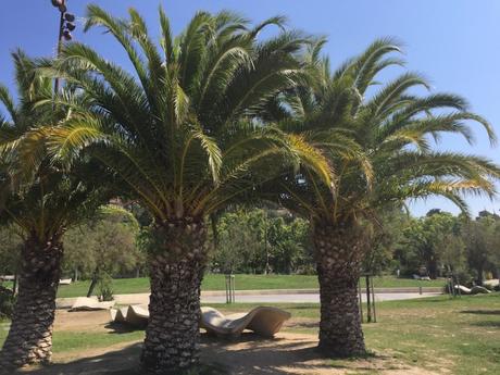 Découverte de l’Estaque Découverte de l’Estaque