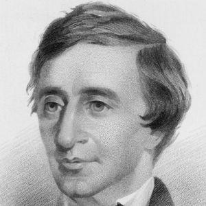 le Thoreau par les cornes