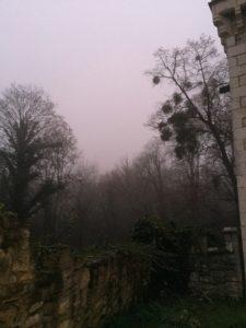 The Mist The Mist