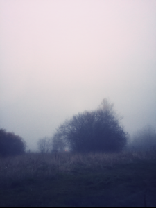The Mist The Mist