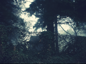 The Mist The Mist