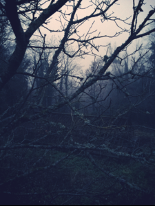The Mist The Mist