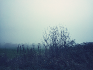 The Mist The Mist