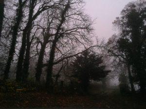 The Mist The Mist