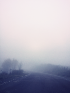 The Mist The Mist
