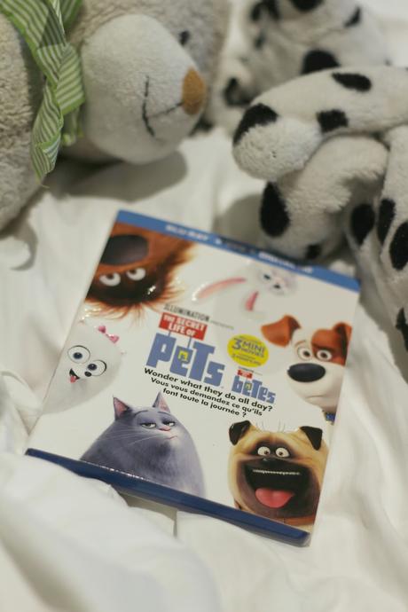 DVD des Fêtes: Comme des bêtes