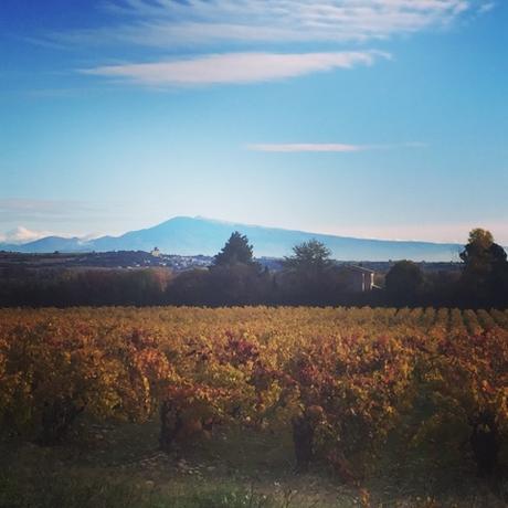 Automne gardois et François Hollande