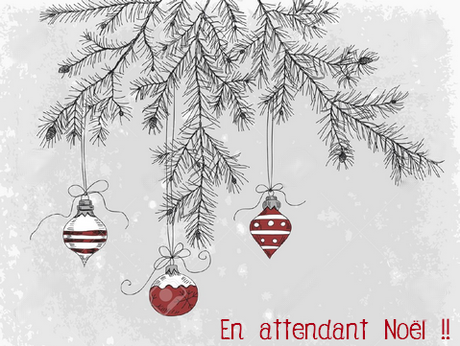 En attendant Noël... Plus que 23 jour! Tag #39 Wishlit PKJ