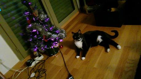 semaine 49 – 2016 dsc_0269