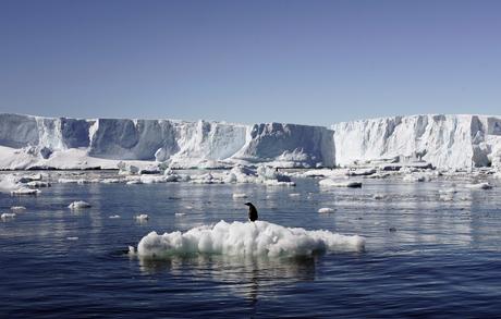 An Adelie penguin stands atop a block of melting ice near the French station at Dumont d’Urville in East Antarctica January 23, 2010. Russia and the Ukraine on November 1, 2013 again scuttled plans to create the world's largest ocean sanctuary in Antarctica, pristine waters rich in energy and species such as whales, penguins and vast stocks of fish, an environmentalist group said. The Commission for the Conservation of Antarctic Marine Living Resources wound up a week-long meeting in Hobart, Australia, considering proposals for two 