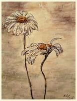 Semaine du 14 au 20 Novembre 2016 Il pleut