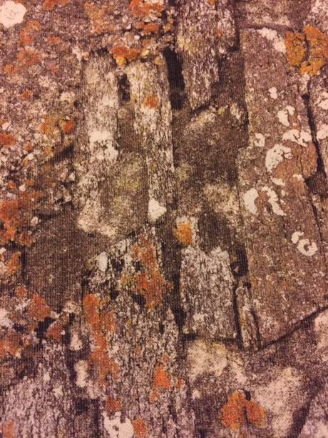 Les pieds sur terre, le cœur en mer, la tête dans les étoiles... Les pieds sur terre, le cœur en mer, la tête dans les étoiles...