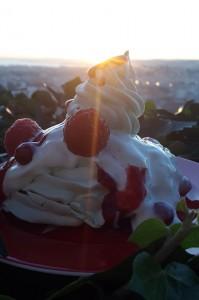 pavlova-sapin-noel pavlova sapin de noel