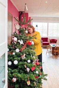 Il est Noël moins 7 Noel 2016 - La préparation du sapin