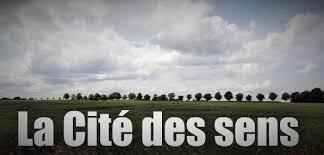 Politiques culturelles en crise ? Politiques culturelles en crise ?