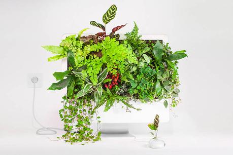 APPLE : les vieux appareils transformée en pots de fleurs ! APPLE : les vieux appareils transformée en pots de fleurs !