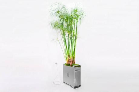 APPLE : les vieux appareils transformée en pots de fleurs ! APPLE : les vieux appareils transformée en pots de fleurs !
