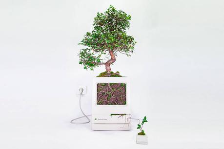 APPLE : les vieux appareils transformée en pots de fleurs ! APPLE : les vieux appareils transformée en pots de fleurs !