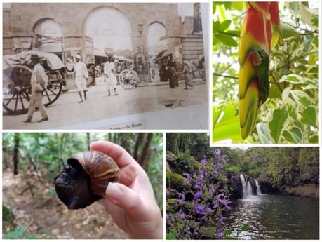 Se cultiver à l'ile Maurice : La Maison Euréka Se cultiver à l'ile Maurice : La Maison Euréka