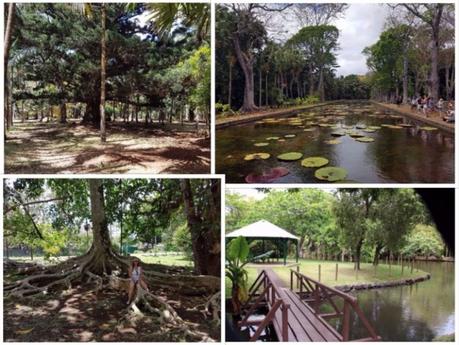 Se cultiver à l'ile Maurice : Le Jardin Pamplemousses Se cultiver à l'ile Maurice : Le Jardin Pamplemousses