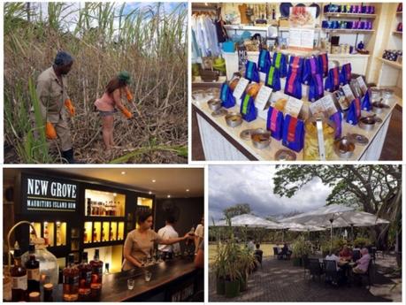Se cultiver à l'ile Maurice : L'Aventure du Sucre Se cultiver à l'ile Maurice : L'Aventure du Sucre