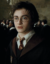 Harry Potter et la cicatrice enchantée