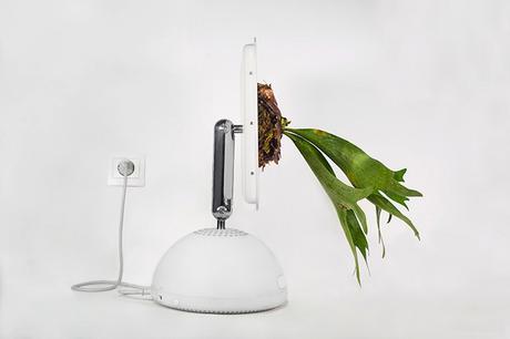 RECUP : Apple Terrarium mr-plant-turns-your-old-mac-into-1