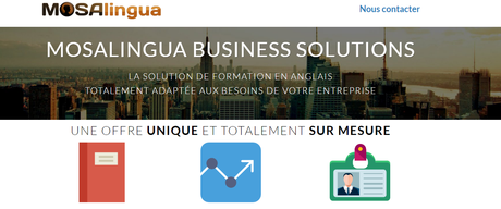 La formation en anglais dans les entreprises : quelles solutions ? MosaLingua : formation anglais entreprise