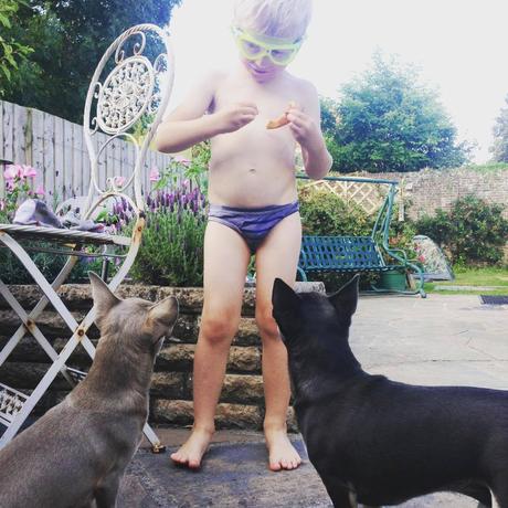 Retour sur 2016 Retour sur 2016