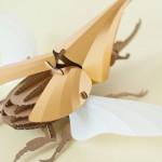 KIT : DIY Paper Beetle Sculpture