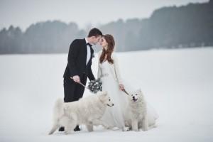 5 choses indispensables pour votre mariage d’hiver mariage neigeux tout blanc avec chiens
