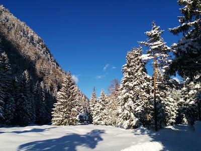 Belles promenades bavaroises: le Riedboden en hiver