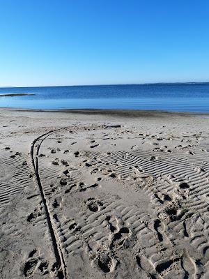 les traces ou la plage en hiver, mon travail photo sur les marques laissés par le passage by Senaq