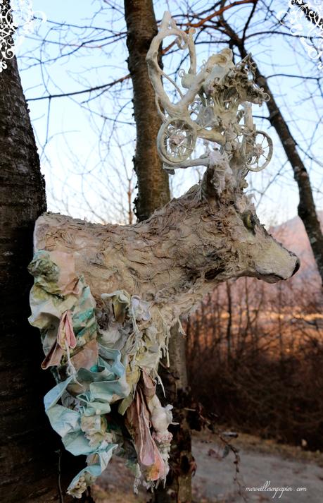 Deer-trophy-36 Deer-trophy-36