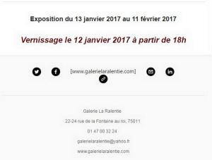 Galerie LA RALENTIE à partir du 12 Janvier 2017   « Etats Sauvages »