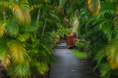 Un voyage de rêve en Guadeloupe à La résidence de La Cousinière Un voyage de rêve en Guadeloupe à La résidence de La Cousinière