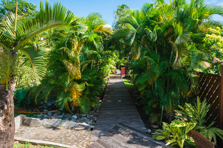 Un voyage de rêve en Guadeloupe à La résidence de La Cousinière Un voyage de rêve en Guadeloupe à La résidence de La Cousinière