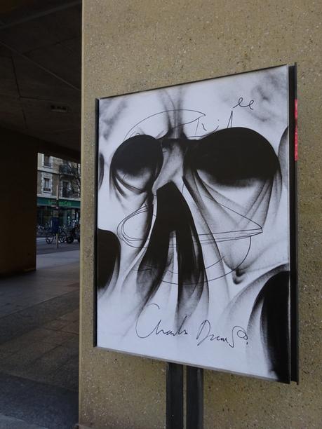 Une semaine sans affichage publicitaire, quel bonheur! DSC01760.JPG