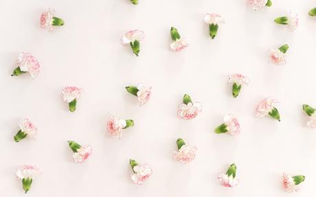 Des fonds d’écran homemade jolis fonds d'écran peinture fleurs