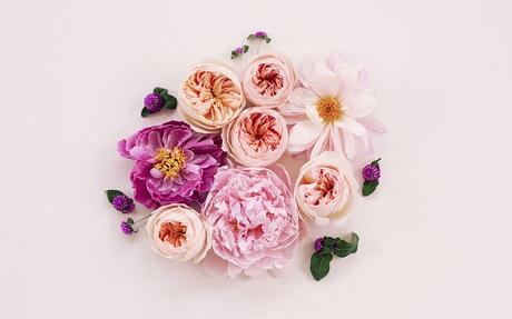 Des fonds d’écran homemade jolis fonds d'écran peinture fleurs